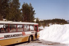 ScannedImage-32