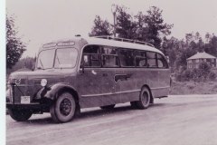 bussnr33