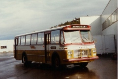 buss19