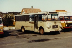 buss29