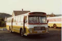 buss31