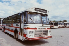 buss338