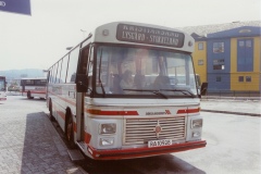 buss3423