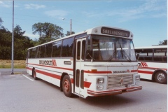 buss399