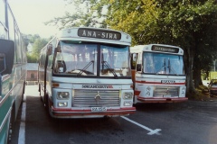 buss415
