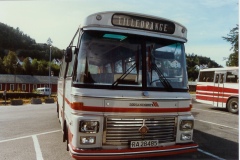 buss416