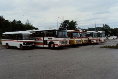 item_-23