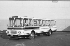 TK_divbuss1-034