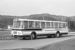 TK_divbuss1-045