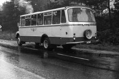 TK_divbuss1-058