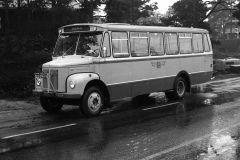 TK_divbuss1-059