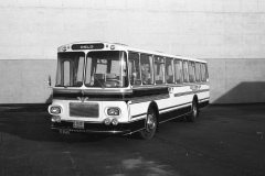 TK_divbuss1-062