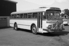 TK_divbuss1-092