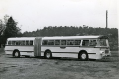 TK_leddbuss_001