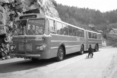 TK_leddbuss_vennesla007