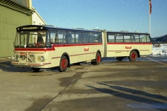 leddbuss_DAF002