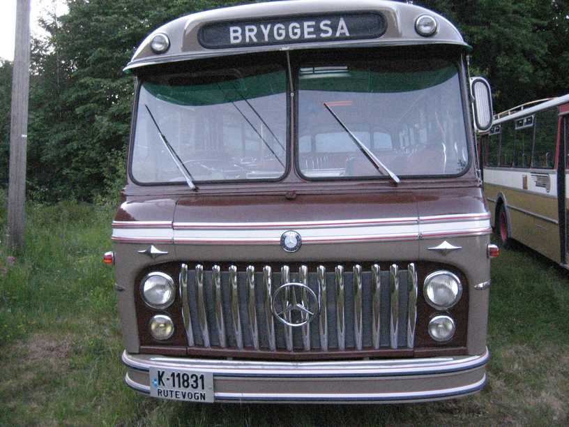 Buss 31